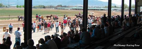 laurel brown racetrack utah.